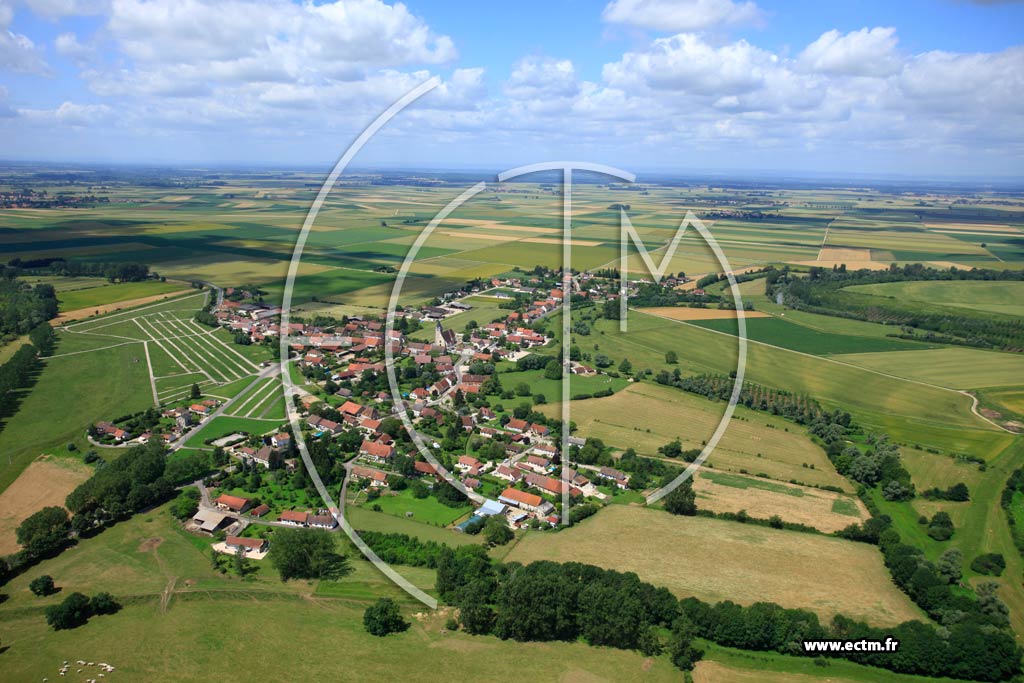 Photo aérienne - Longwy-sur-le-Doubs