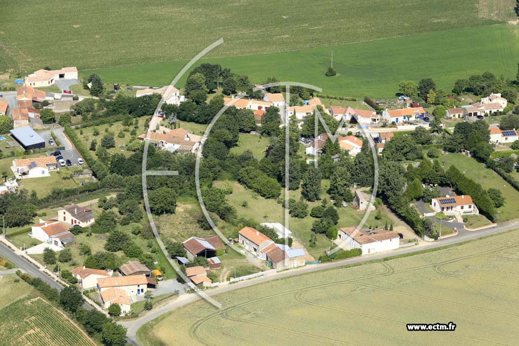 Votre photo aérienne  Les Pineaux (SaintOuen)  3663584955585