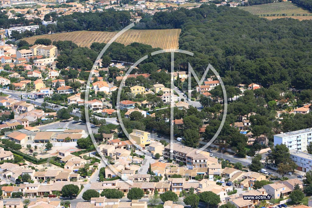 Photo arienne de La Londe les Maures