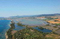   - photo - Les Vieux Salins d Hyeres