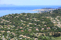83990 Saint Tropez - photo - Saint Tropez - Bertaud