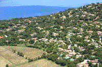 83990 Saint Tropez - photo - Saint Tropez - Bertaud