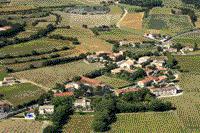 84230 Chteauneuf du Pape - photo - Chateauneuf Du Pape