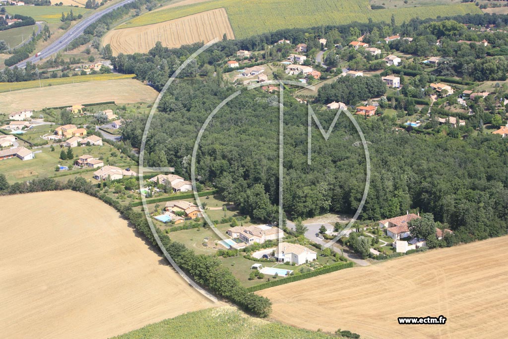 monticelli montastruc la conseillère - monticelli optique