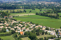 Photos de Montfavet - la fort