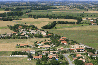 31600 Muret - photo - Muret - Ox