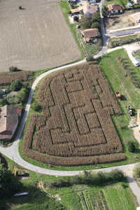   - photo - Labyrinthe