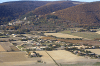 Photos de Marsanne