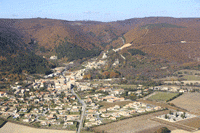 Photos de Marsanne