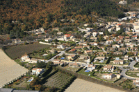 Photos de Marsanne