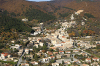 Photos de Marsanne