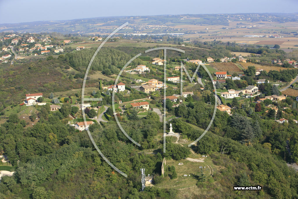 Photo arienne de Saint Clair du Rhne