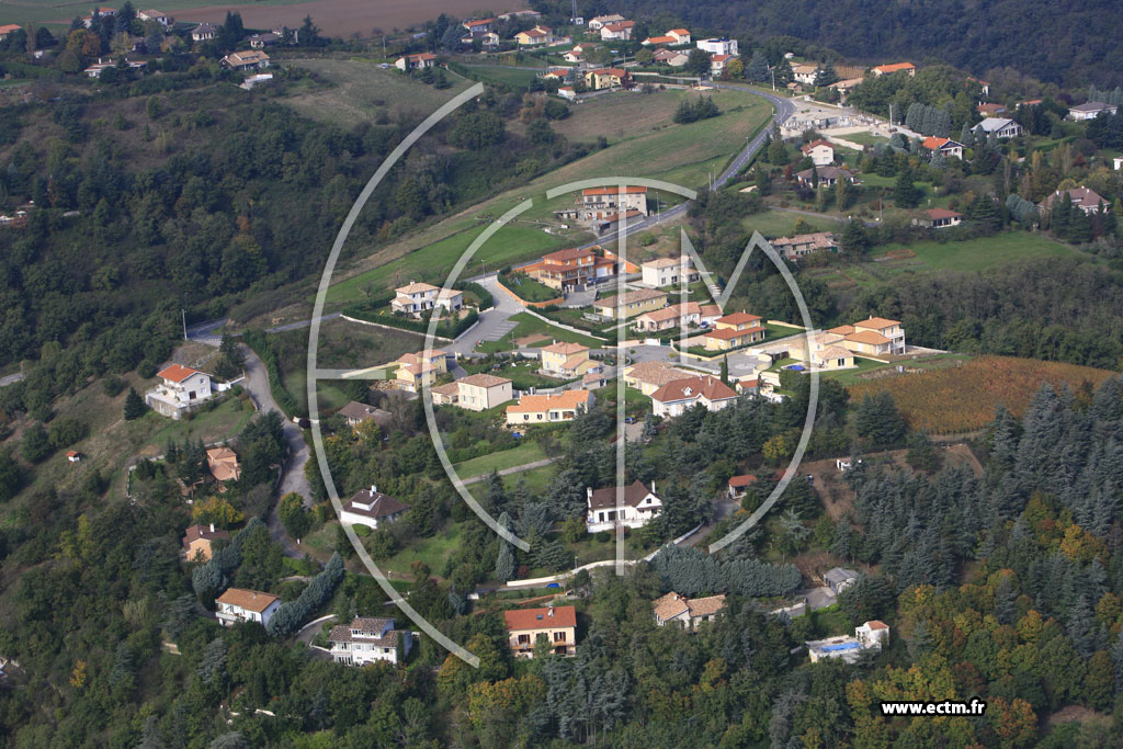 Photo arienne de Saint Cyr sur le Rhne