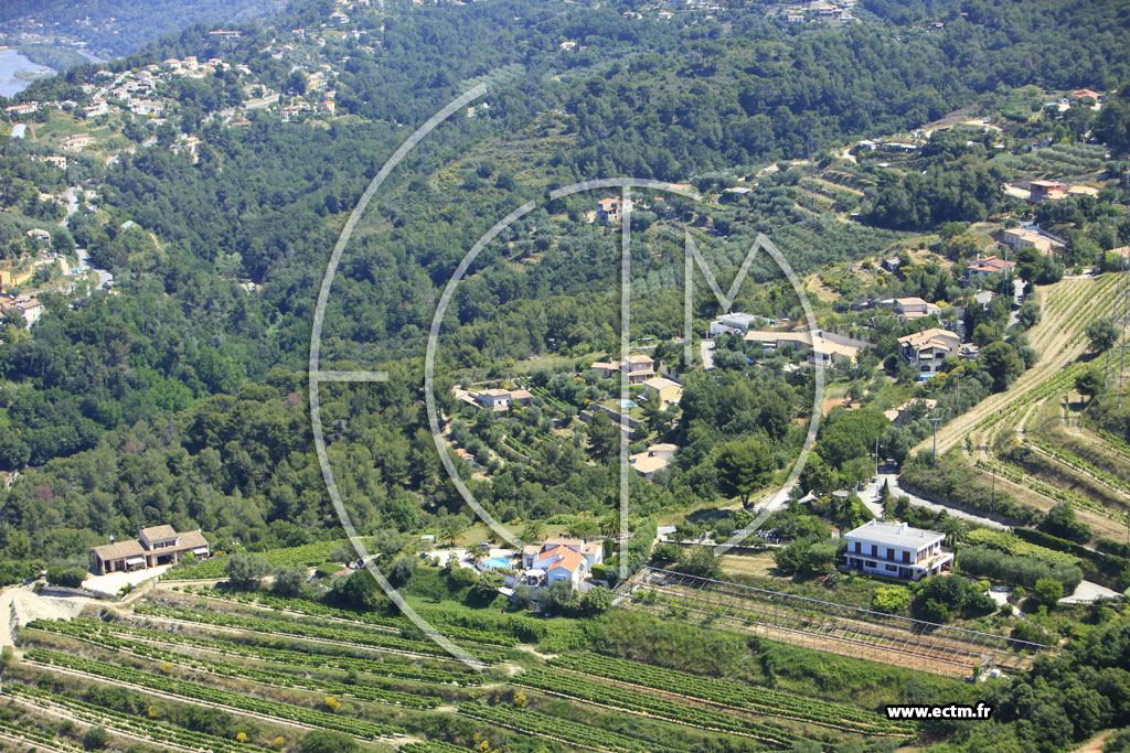 Photo arienne de Nice (Saquier)