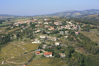69420 Condrieu - photo - Condrieu (la Celle)