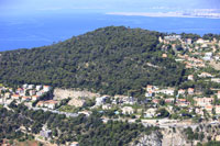 Photos de Nice (Boulevard Princesse Grace de Monaco)