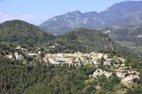 Photos de Saint Martin du Var (chemin du Vallon du Clot de Due)2