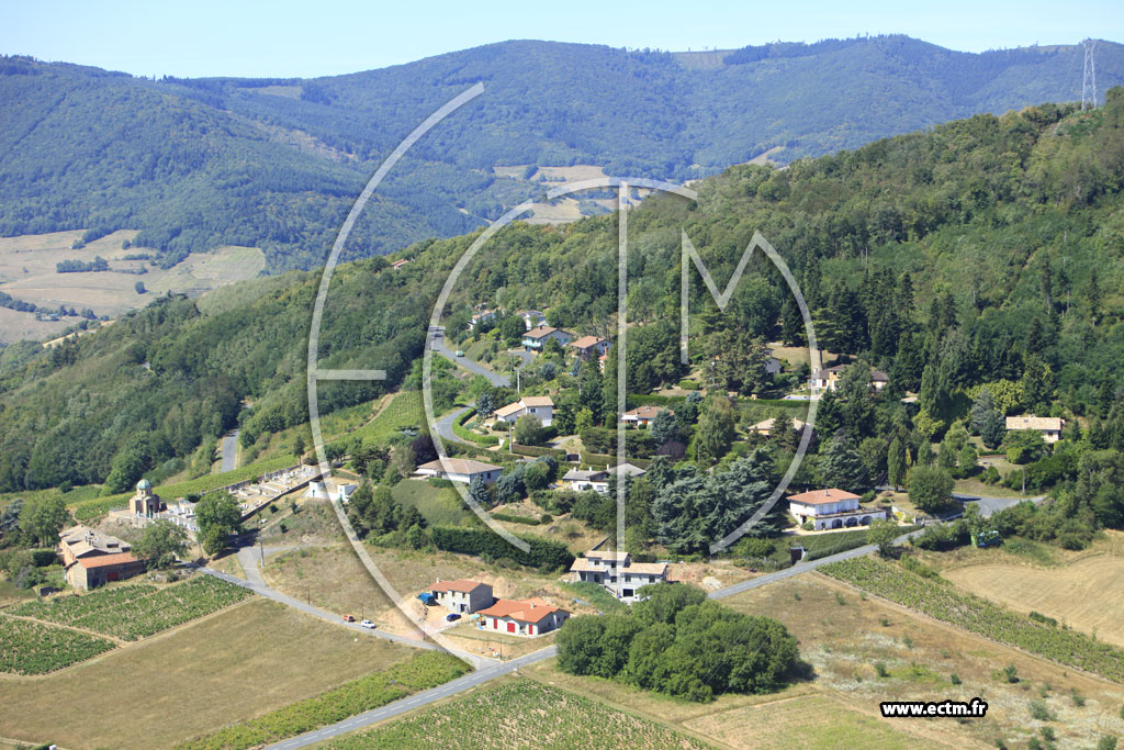 Photo arienne de Montmelas-Saint-Sorlin