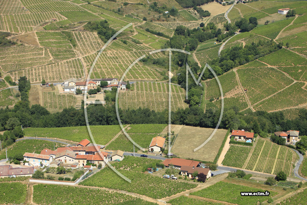 Photo arienne de Salles-Arbuissonnas-en-Beaujolais