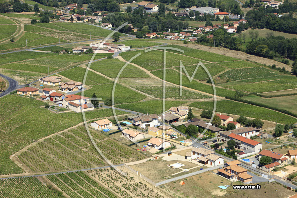 Photo arienne de Salles-Arbuissonnas-en-Beaujolais (Le Tang)