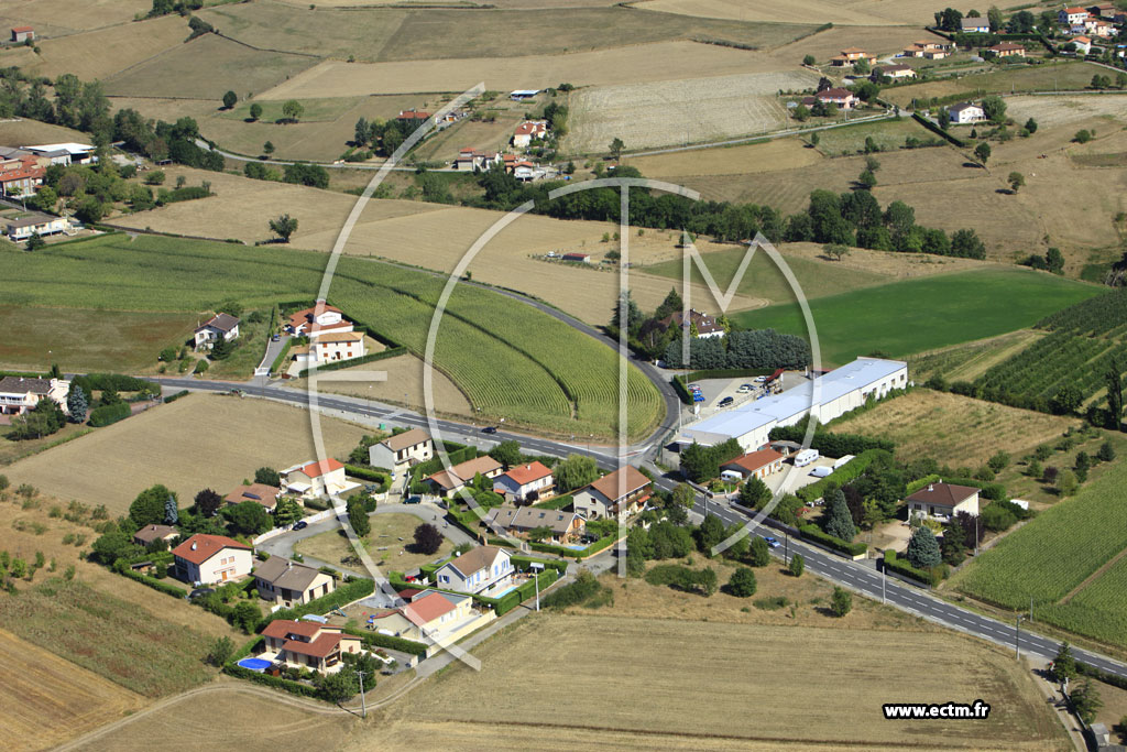 Photo arienne de Saint-Martin-la-Plaine