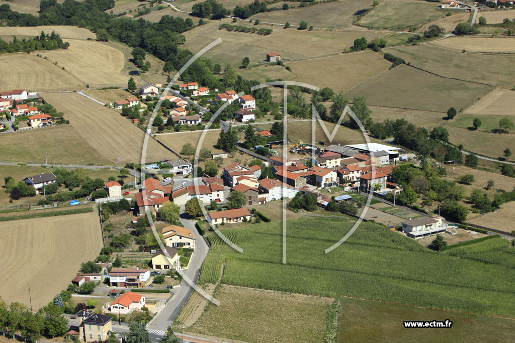 Photo arienne de Saint-Martin-la-Plaine