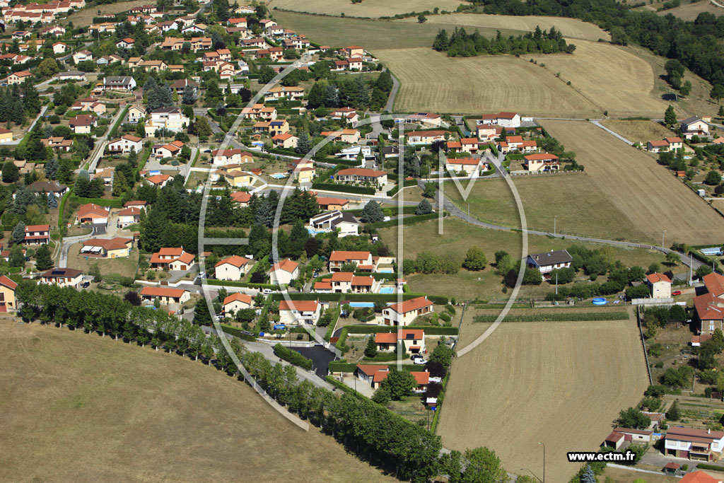 Photo arienne de Saint-Martin-la-Plaine