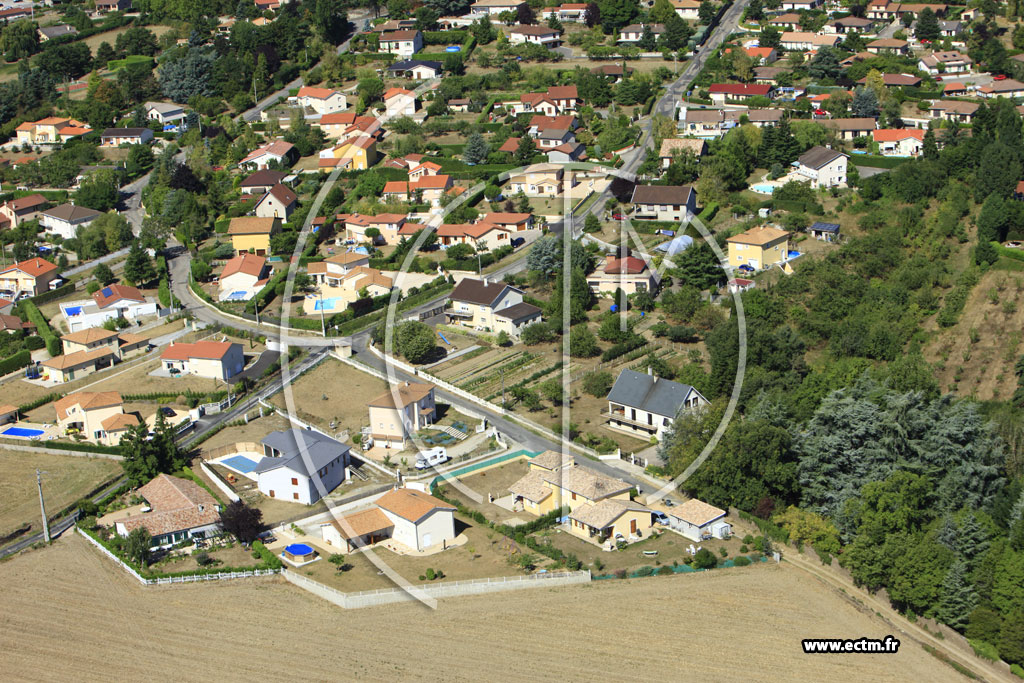 Photo arienne de Saint-Martin-la-Plaine