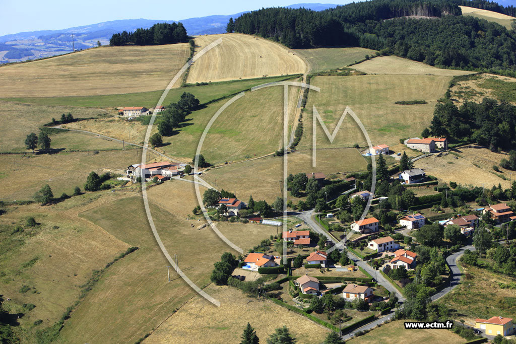 Photo arienne de Les Sauvages (Charpenay)