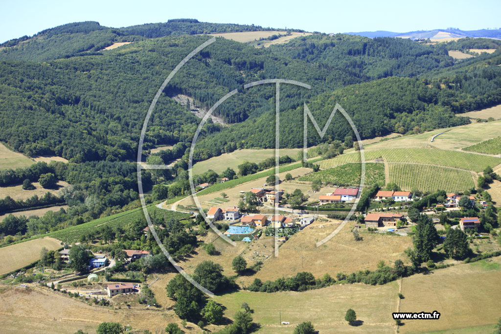 Photo arienne de Saint-Loup
