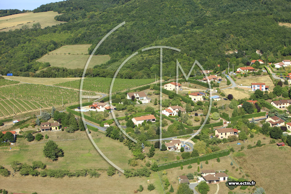 Photo arienne de Saint-Pierre-la-Palud (Le Moullin)