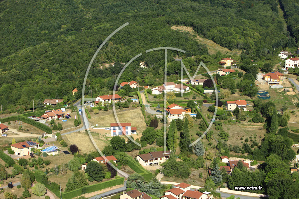 Photo arienne de Saint-Pierre-la-Palud (Le Moullin)