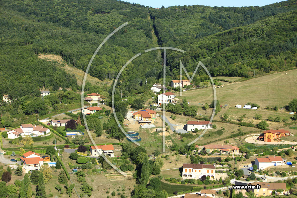 Photo arienne de Saint-Pierre-la-Palud (Le Moullin)