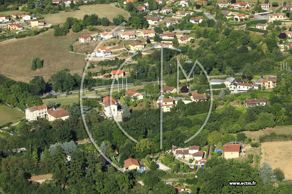 Photo arienne de Saint-Pierre-la-Palud (La Prollire)
