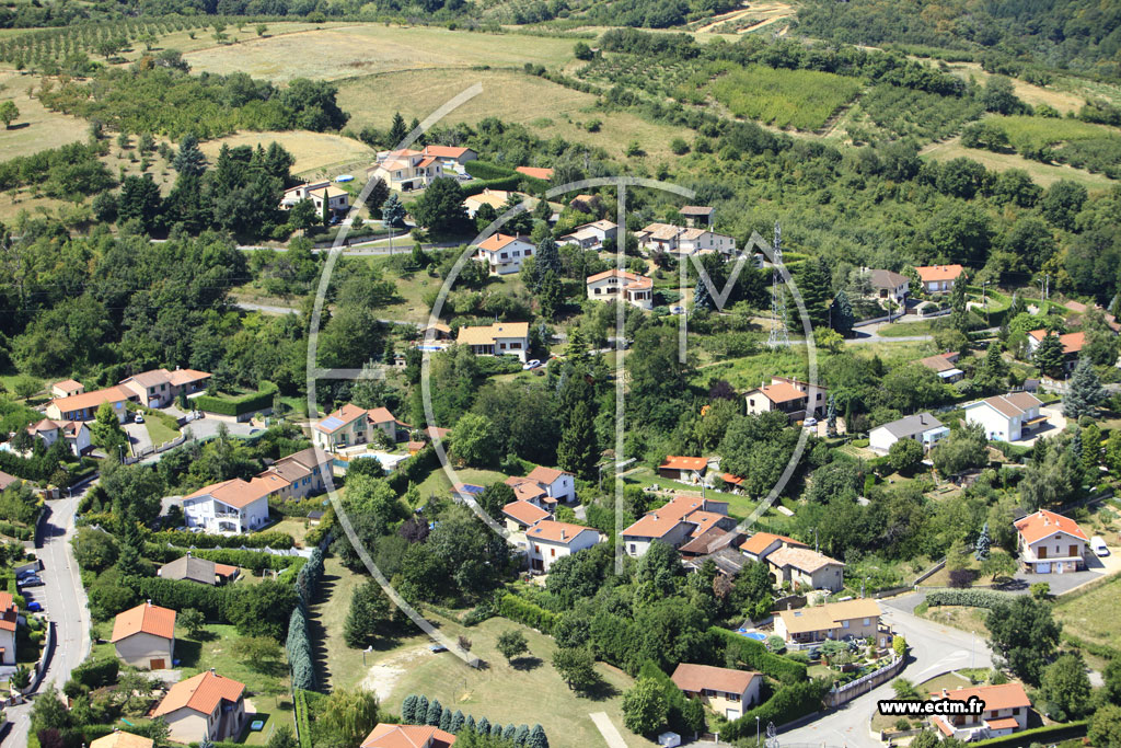 Photo arienne de Loire sur Rhne