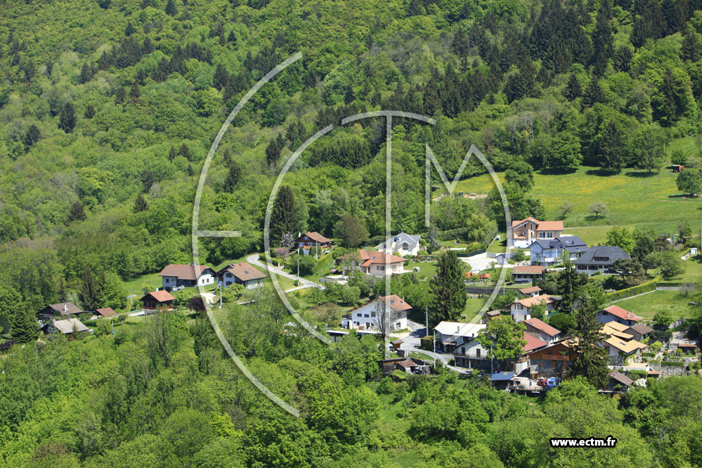 Photo arienne de Saint-Cergues