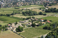 Photos de Pommiers