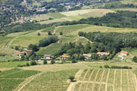 Photos de Saint-Laurent-d'Oingt
