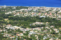 06600 Antibes - photo - Antibes (avenue Jean Michard Pellissier)