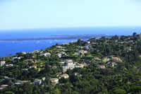 Photos de Vallauris (le plateau de Bernis)