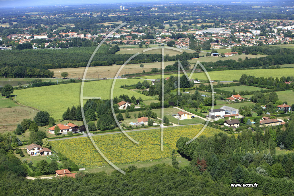 Photo arienne de Pronnas (Les Carronnires)