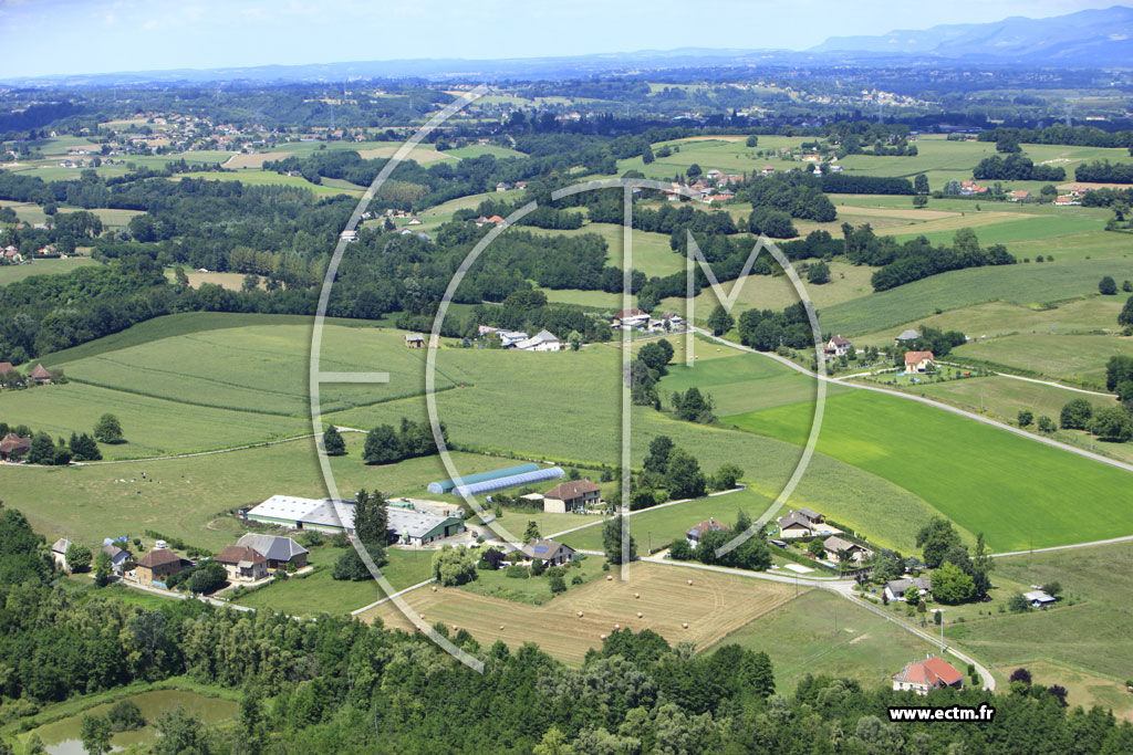 Photo arienne de Pressins (Chemin de la Bivre)