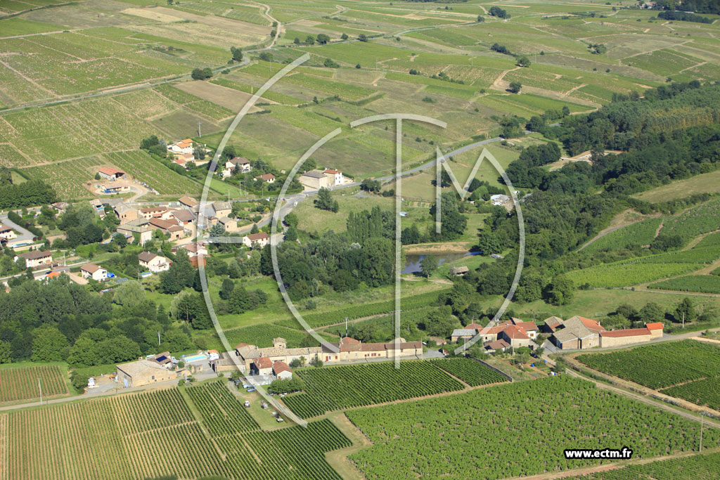 Photo arienne de Leynes (Les Charmonts)