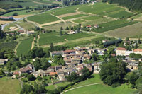 Photos de La Roche-Vineuse