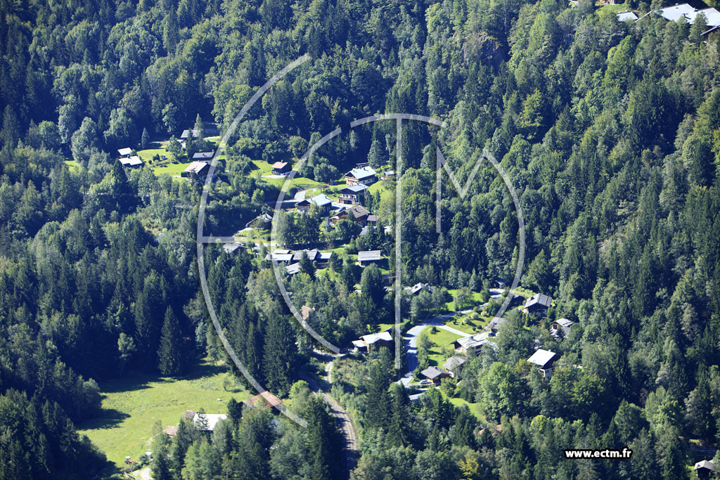 Photo arienne de Les Houches (Vaudagne)