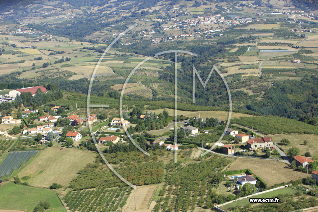 Photo arienne de Cellieu (La Jallire)