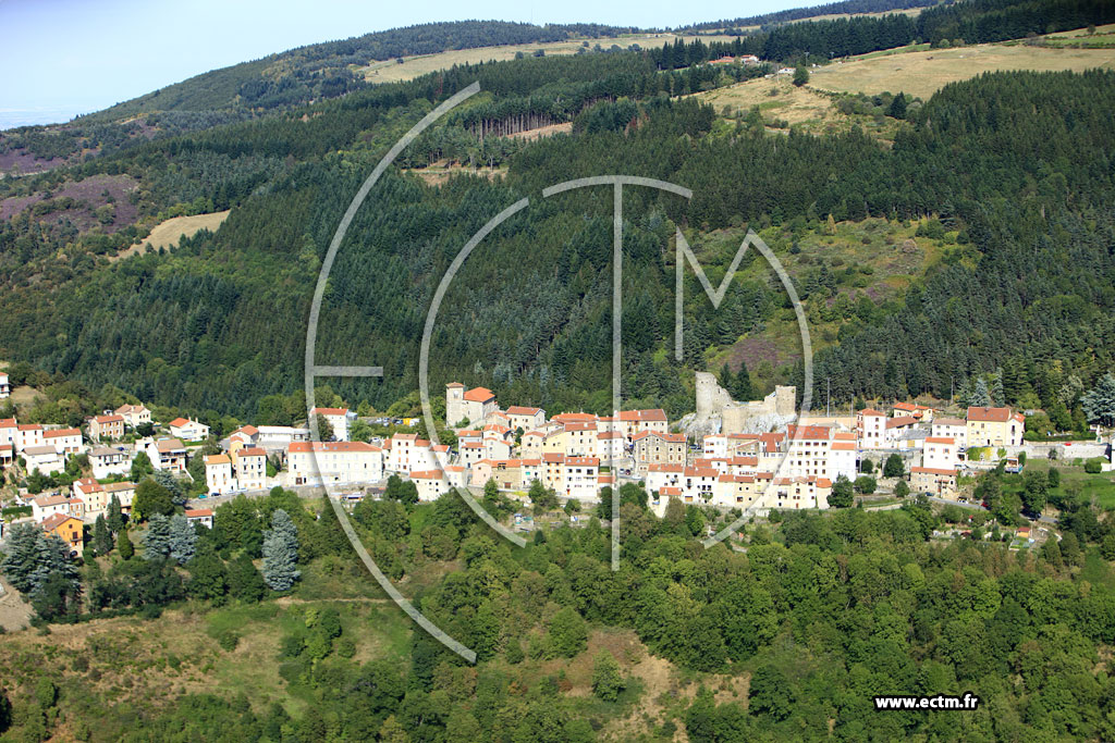 Photo arienne de Saint-Etienne (Rochetaille)