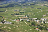 69910 Villi Morgon - photo - Villi-Morgon