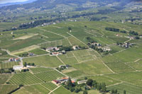 69910 Villi Morgon - photo - Villi-Morgon