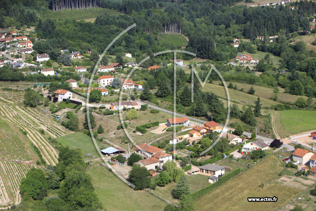 Photo arienne de Saint-Haon-le-Vieux